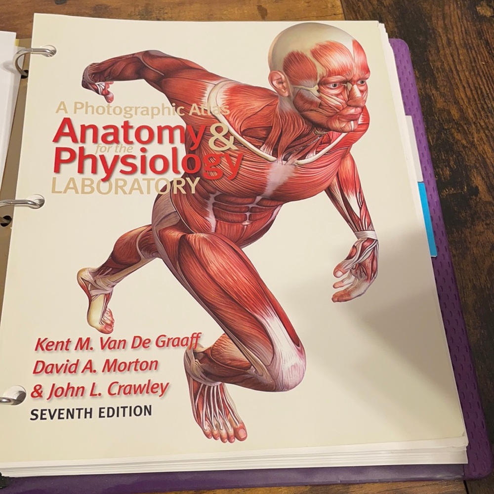 Looseleaf college book Anatomy & Physiology Lab